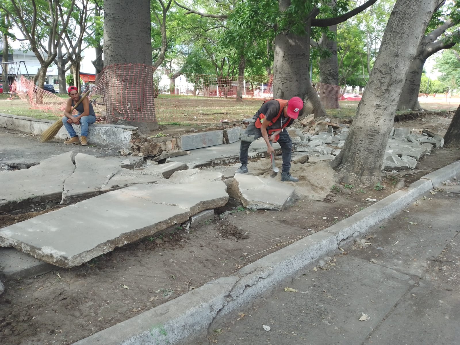 Imagen del proyecto