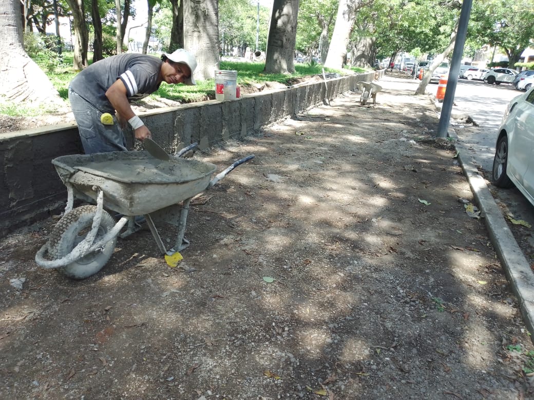 Imagen del proyecto