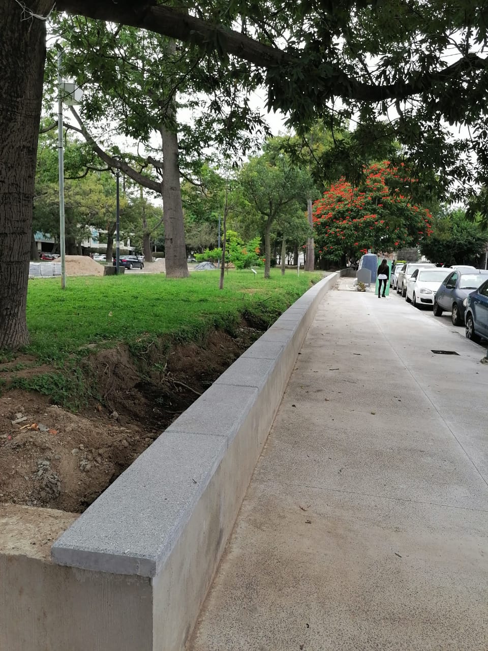Imagen del proyecto