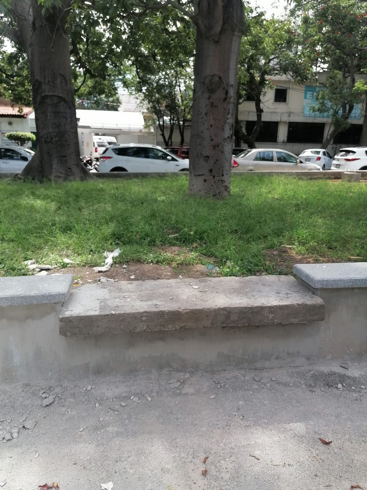 Imagen del proyecto