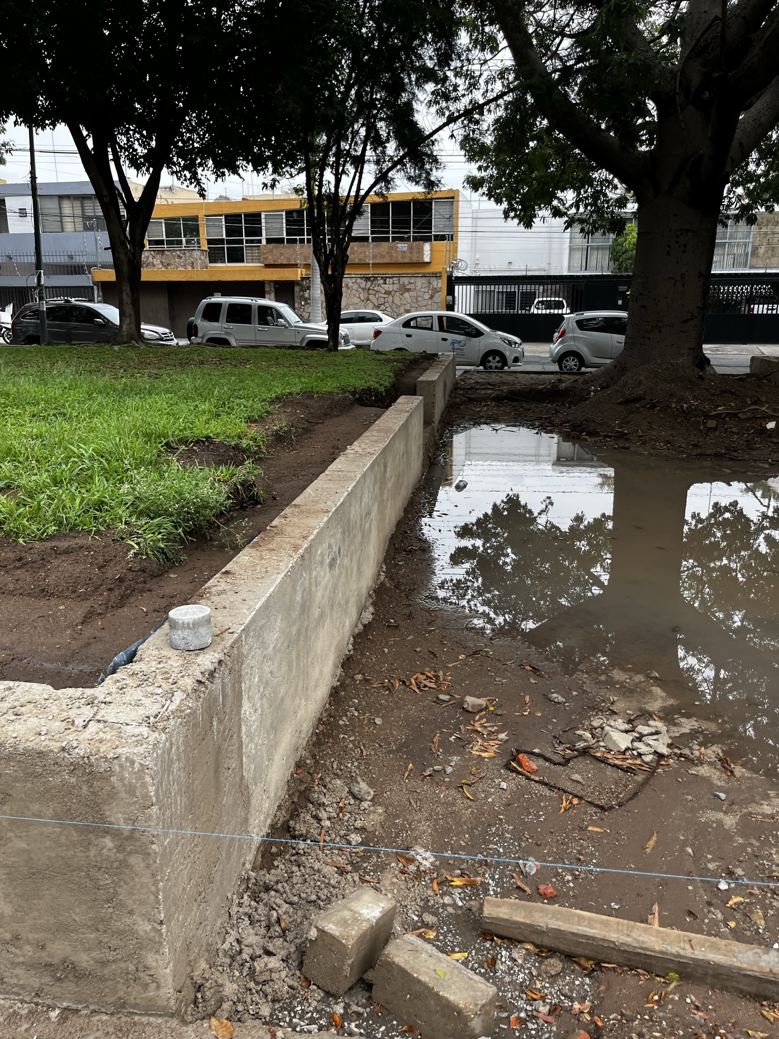 Imagen del proyecto