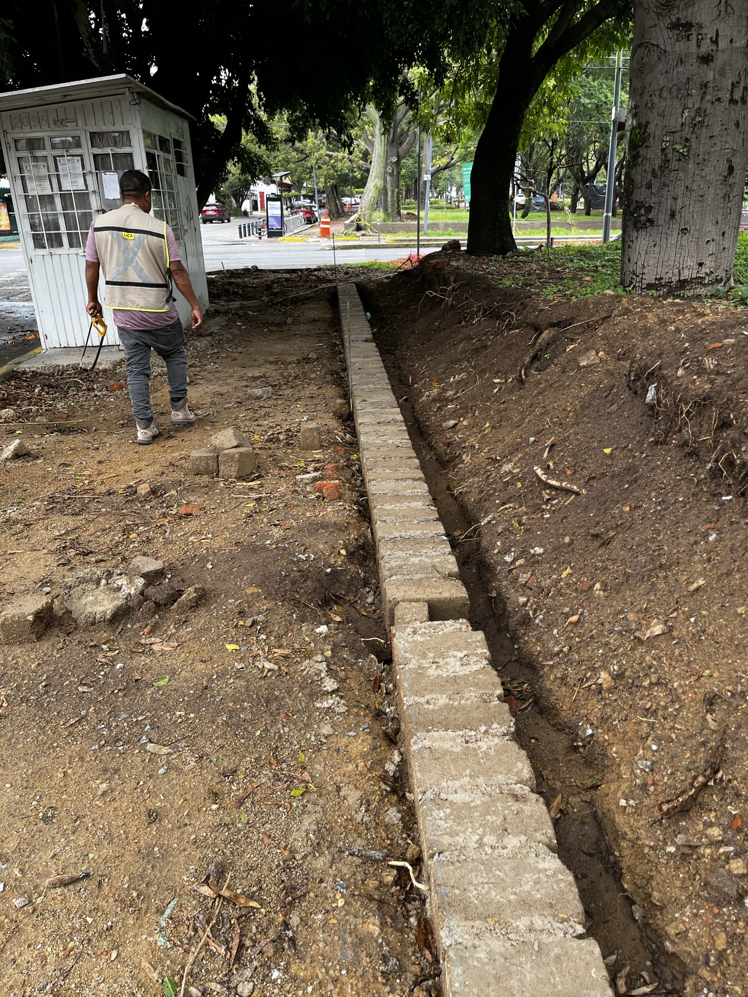 Imagen del proyecto