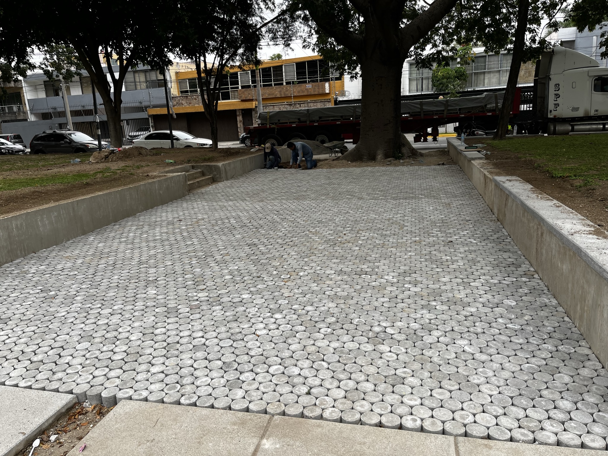 Imagen del Proyecto