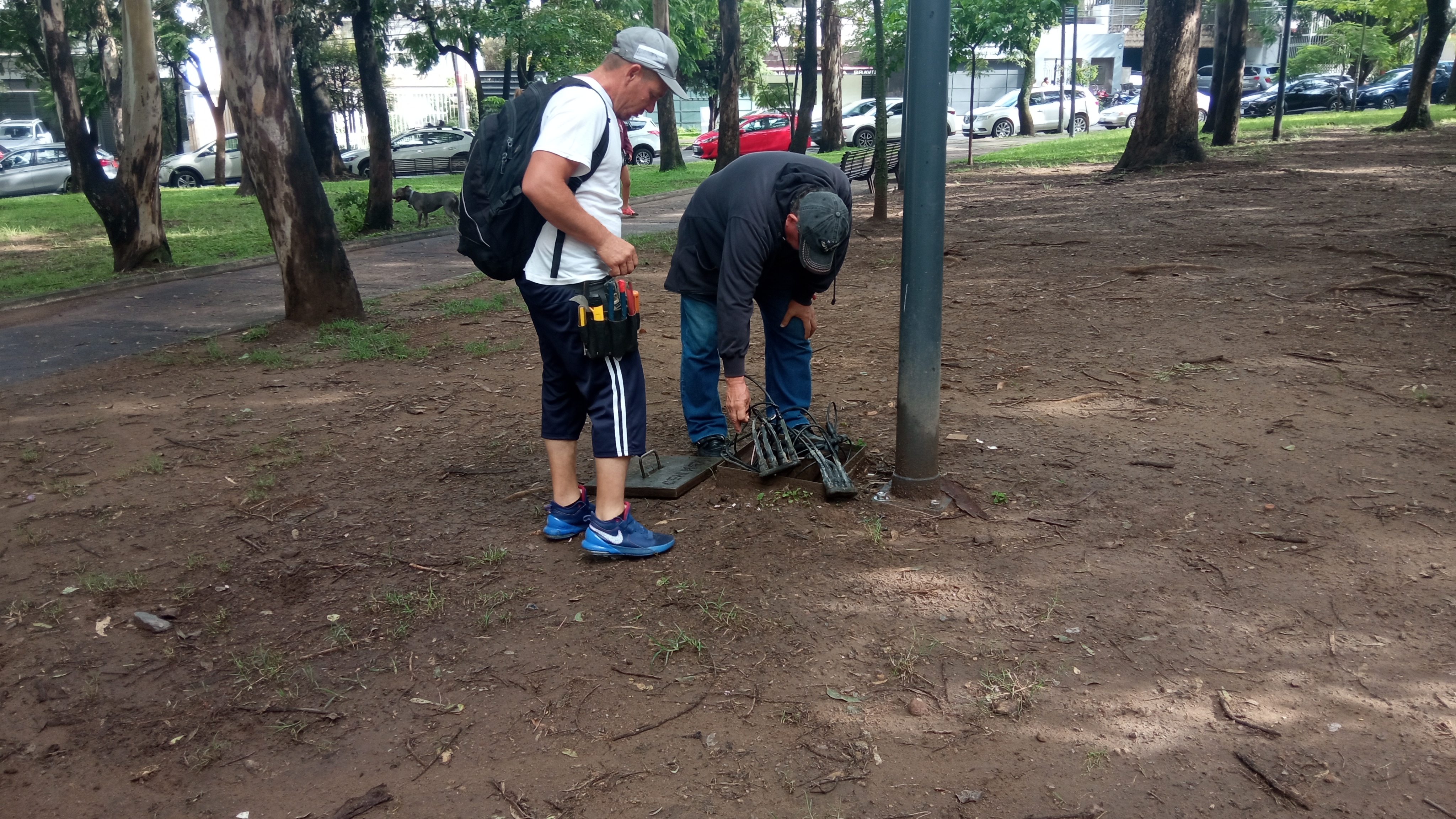 Imagen del proyecto