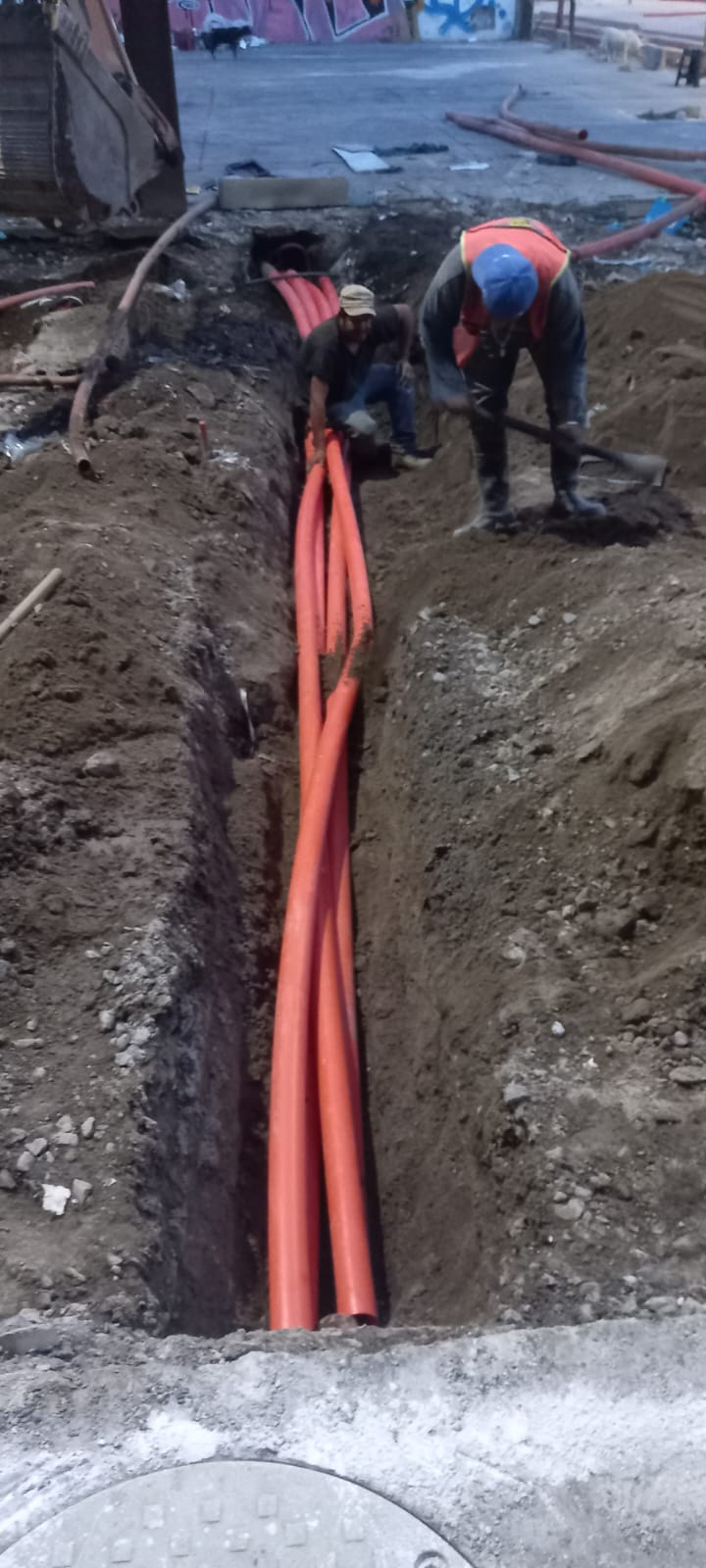 Imagen del proyecto