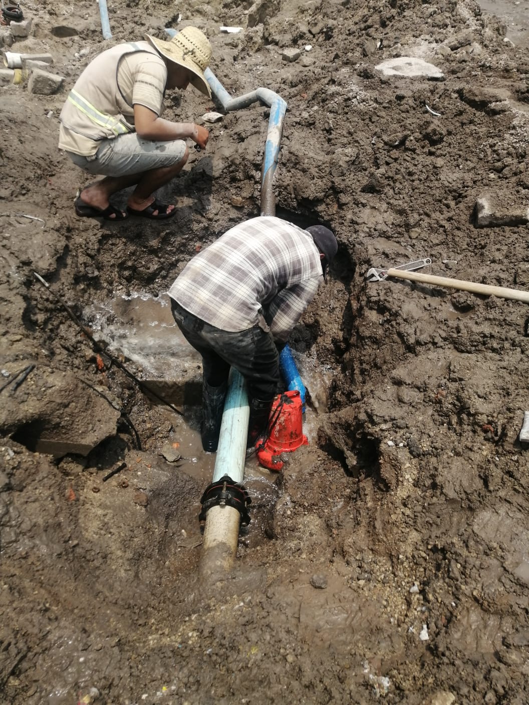 Imagen del proyecto