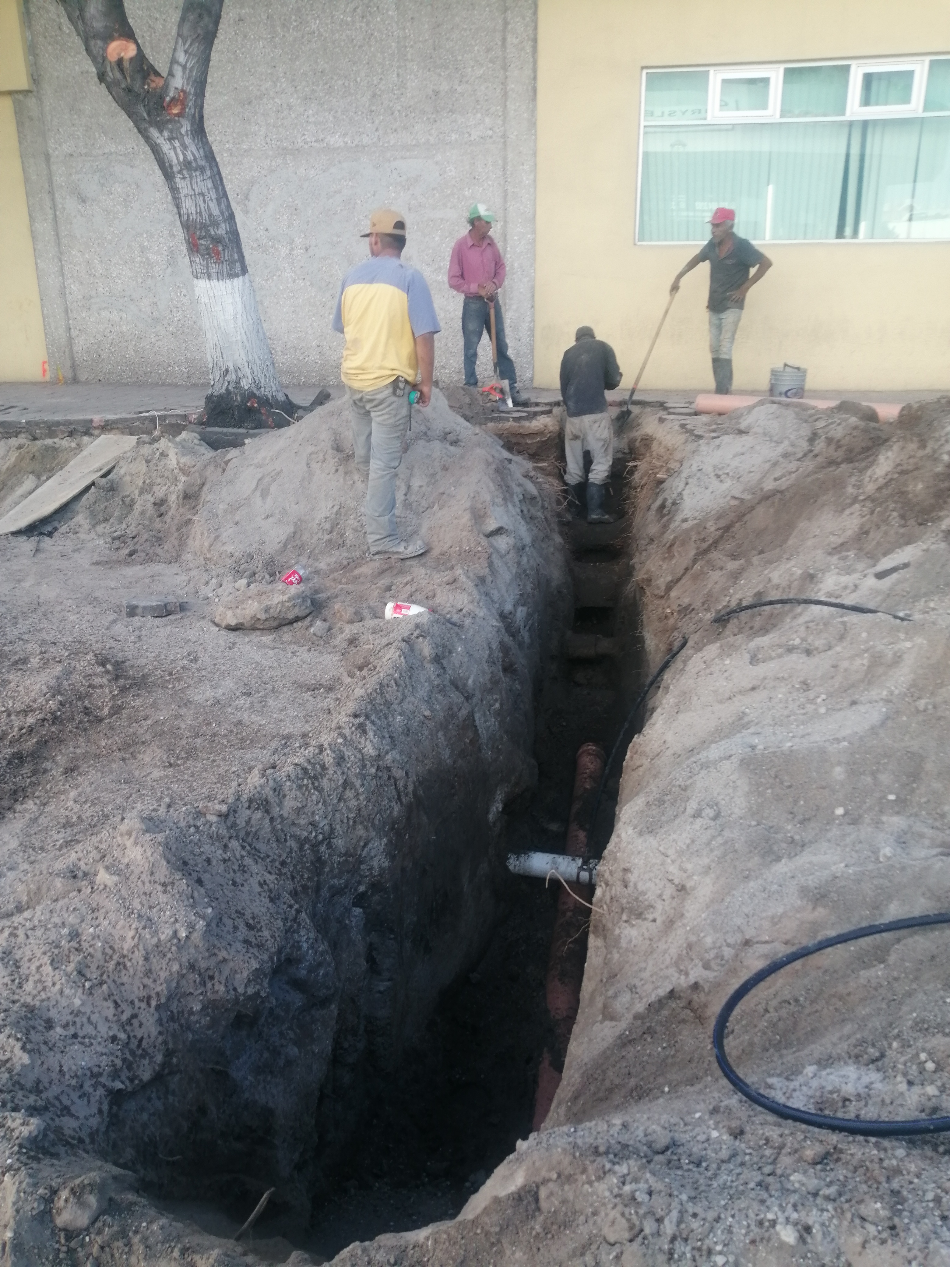Imagen del proyecto