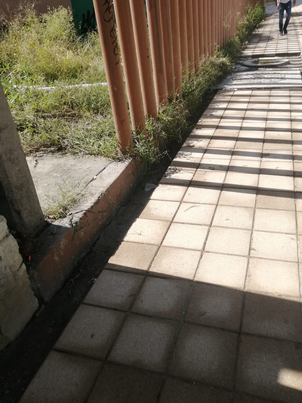 Imagen del proyecto