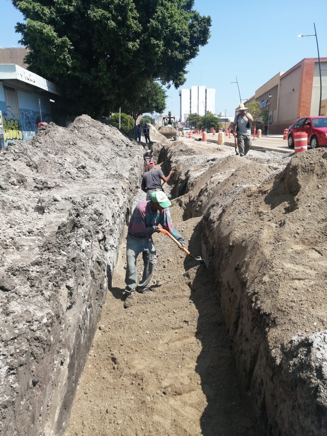 Imagen del proyecto