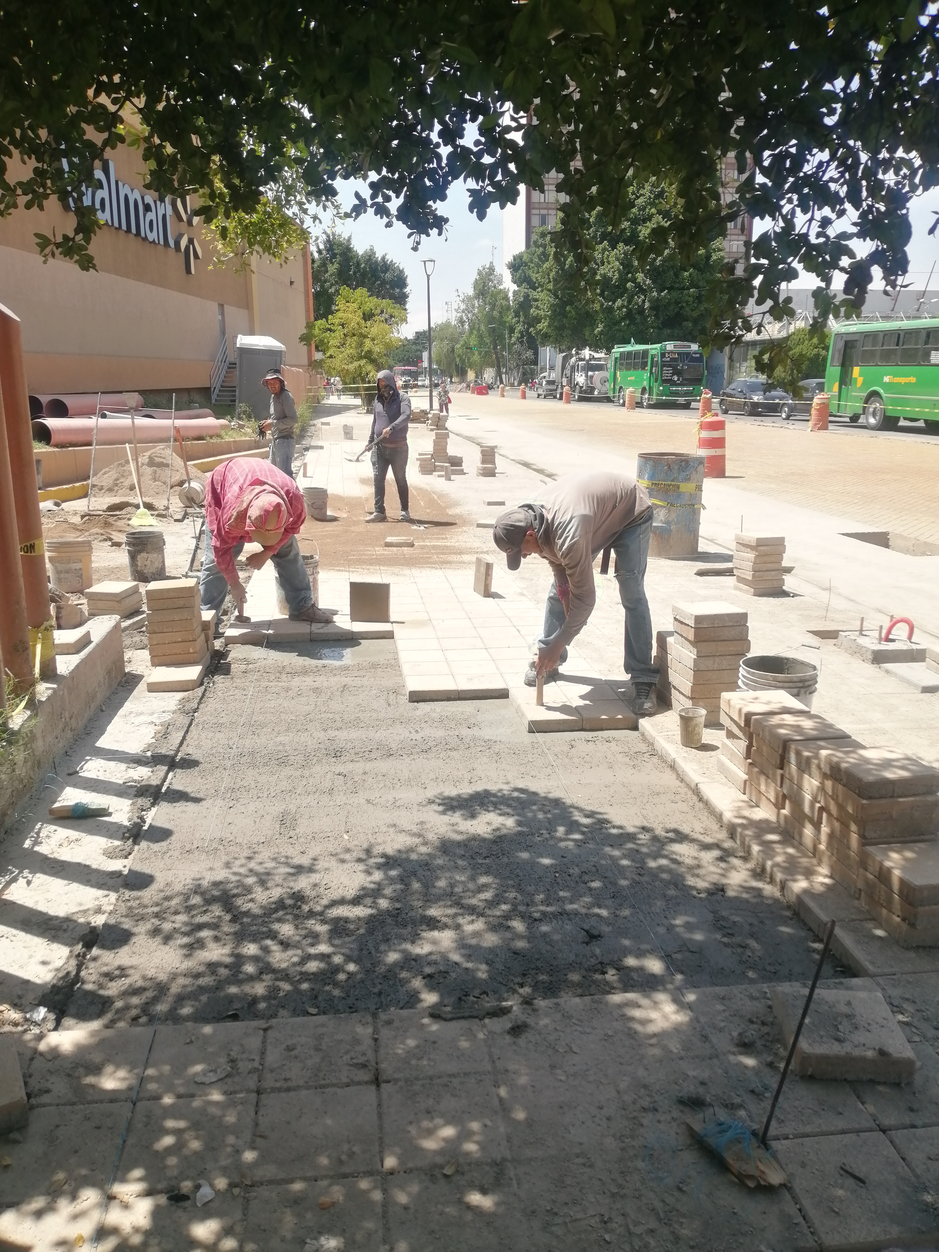 Imagen del proyecto