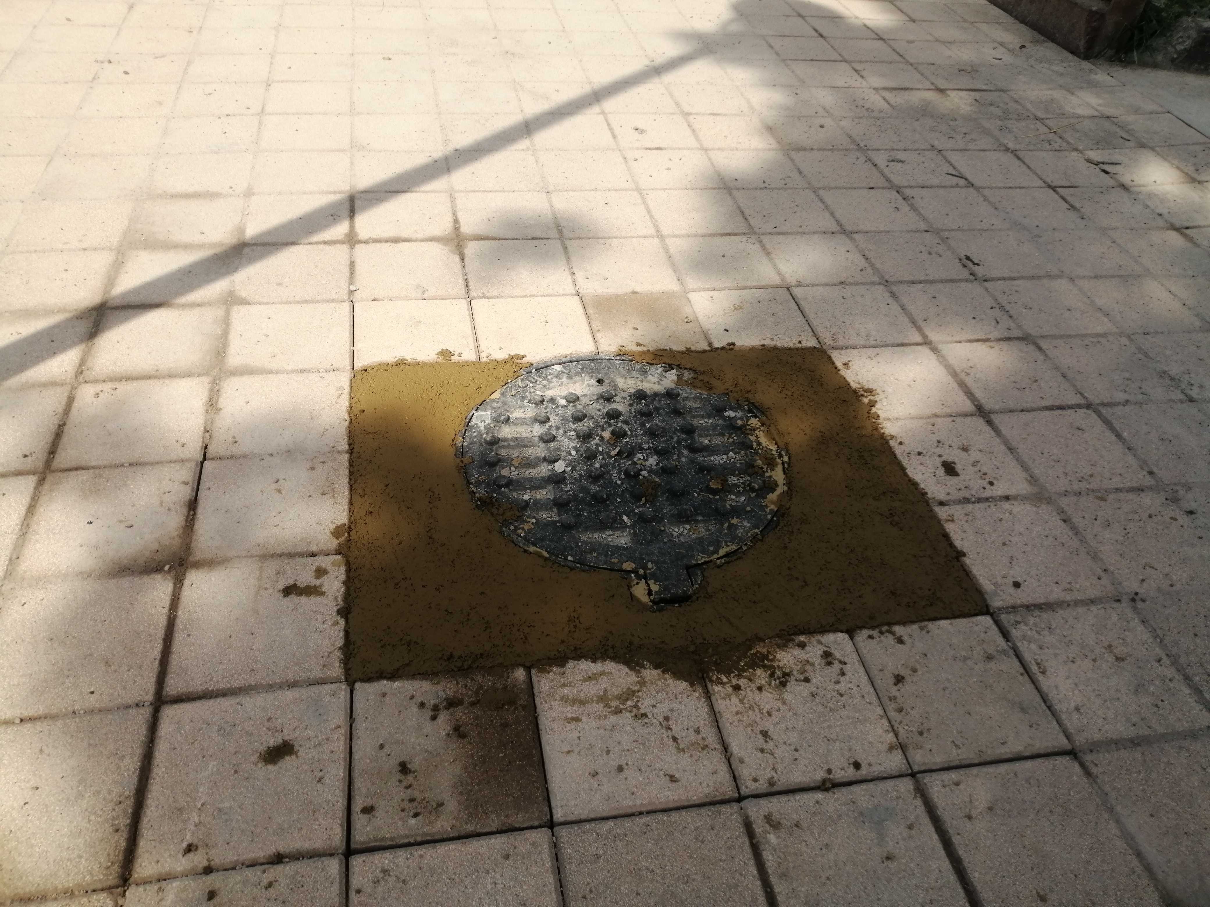 Imagen del proyecto