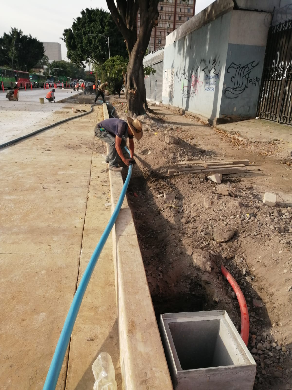 Imagen del proyecto