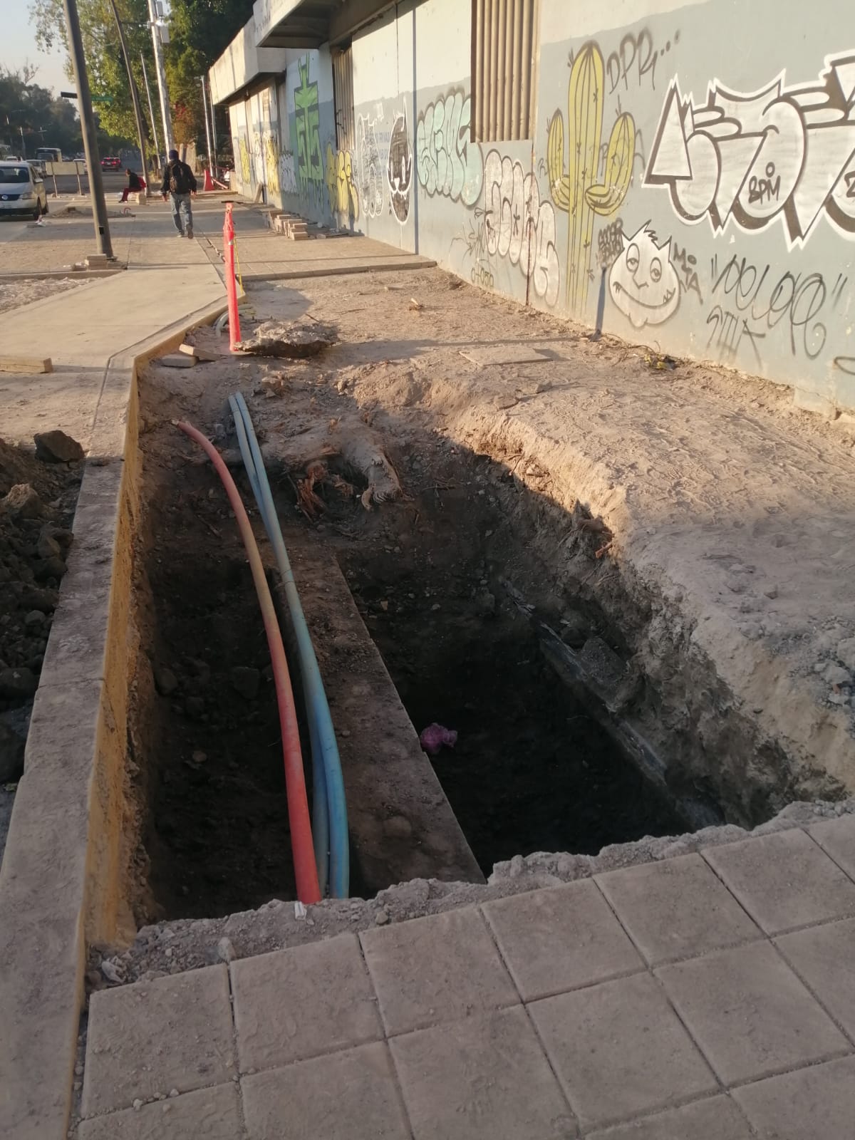 Imagen del proyecto