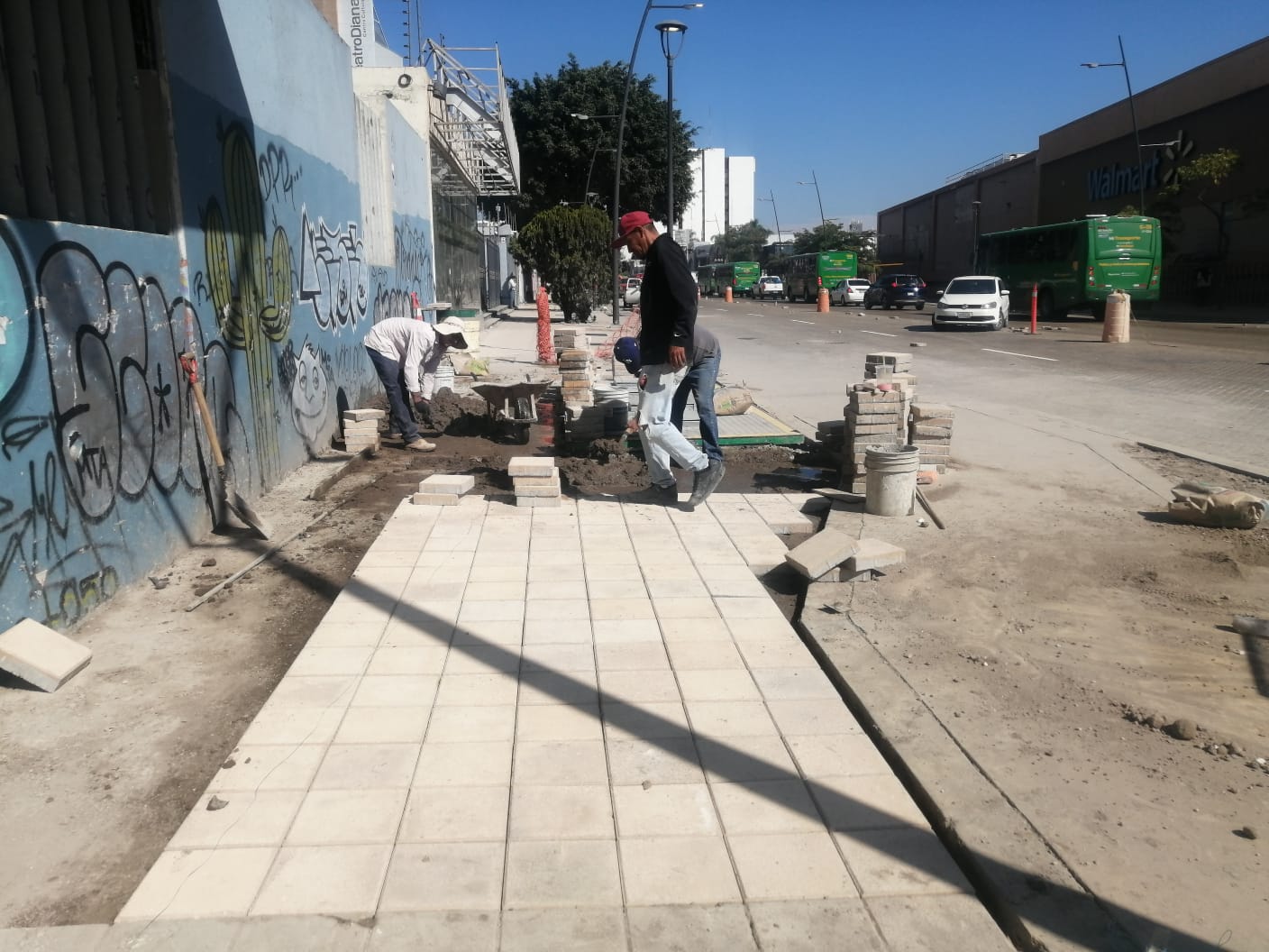 Imagen del proyecto