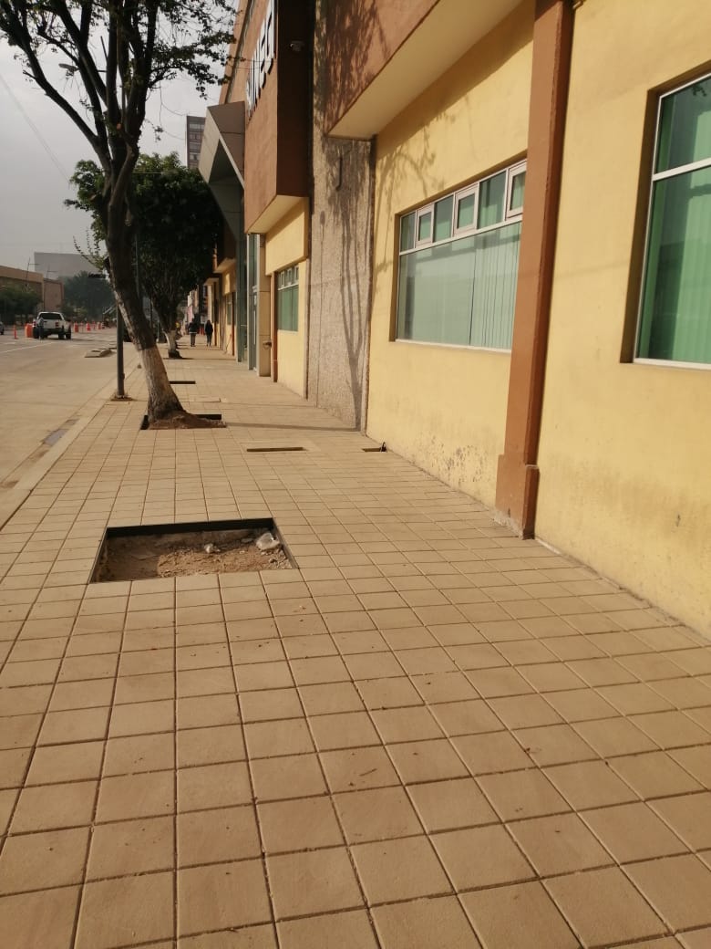 Imagen del proyecto