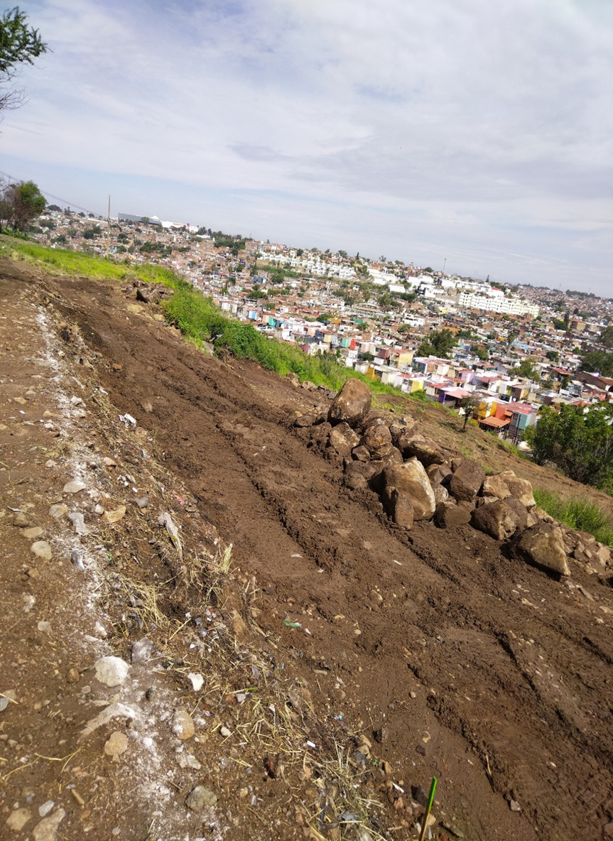 Imagen del proyecto