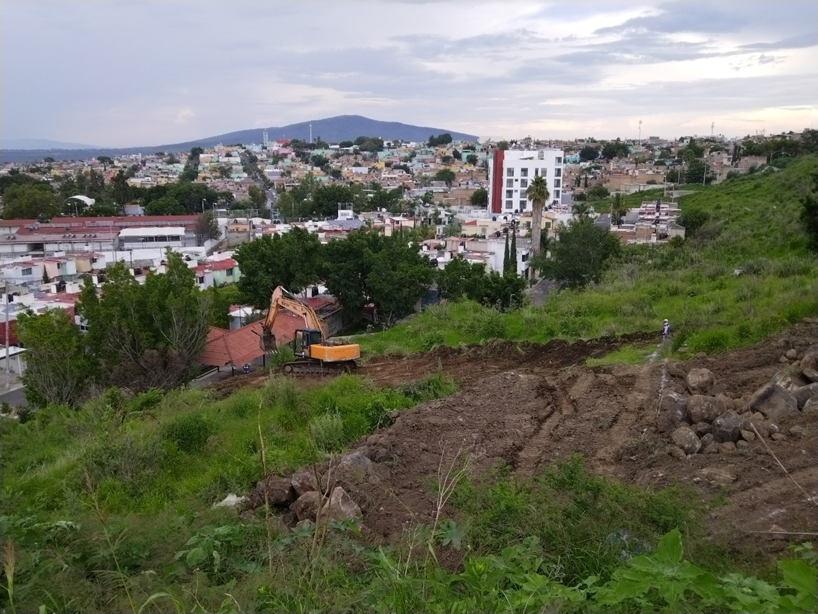 Imagen del proyecto