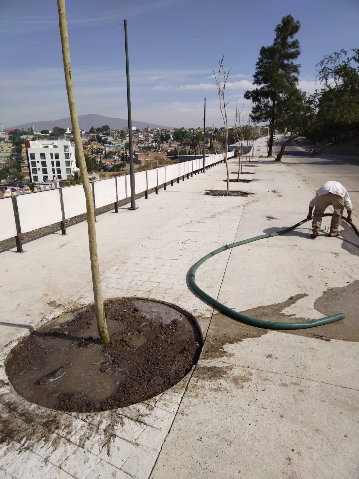 Imagen del proyecto