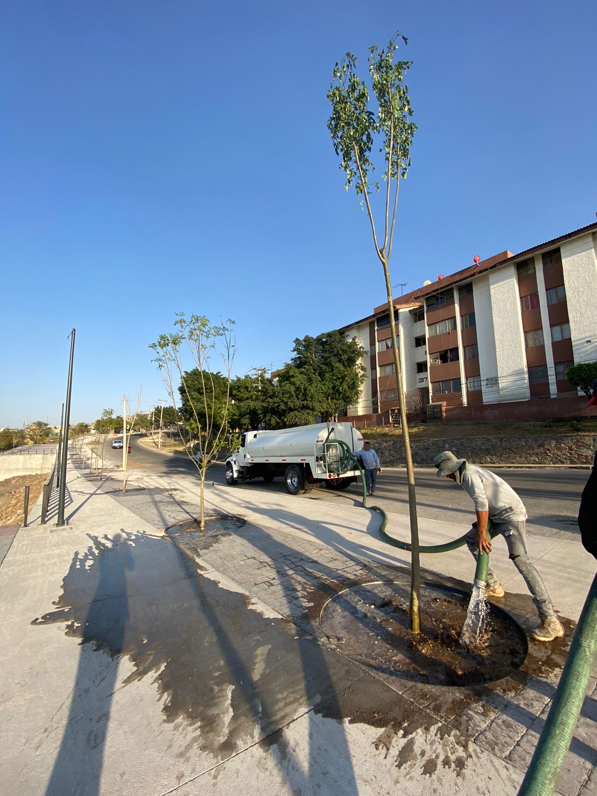 Imagen del proyecto