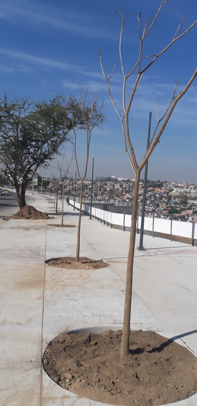Imagen del proyecto