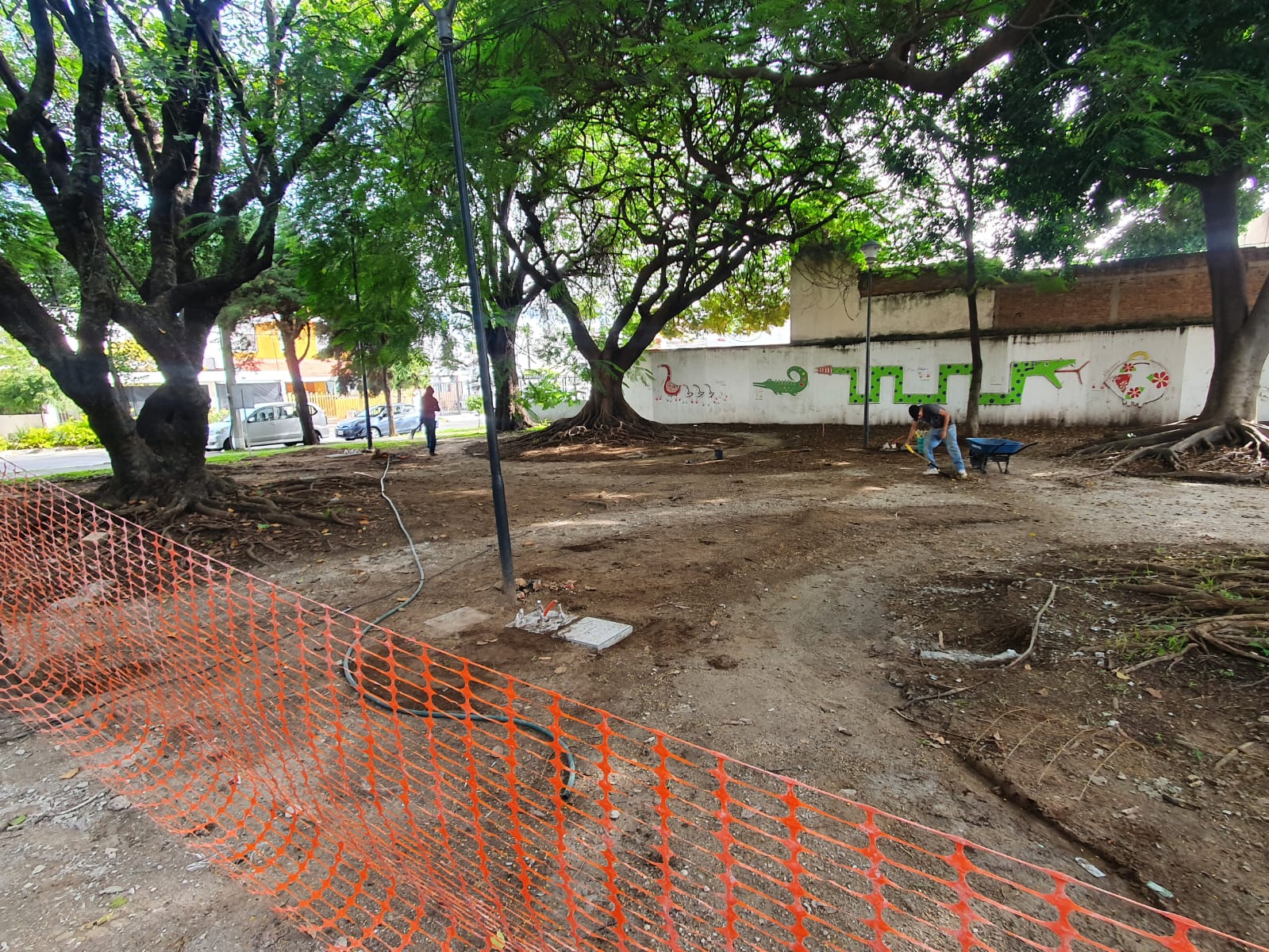 Imagen del proyecto
