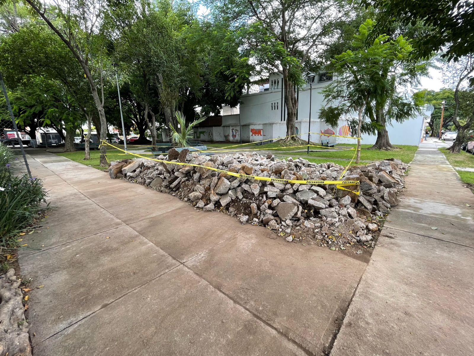 Imagen del proyecto