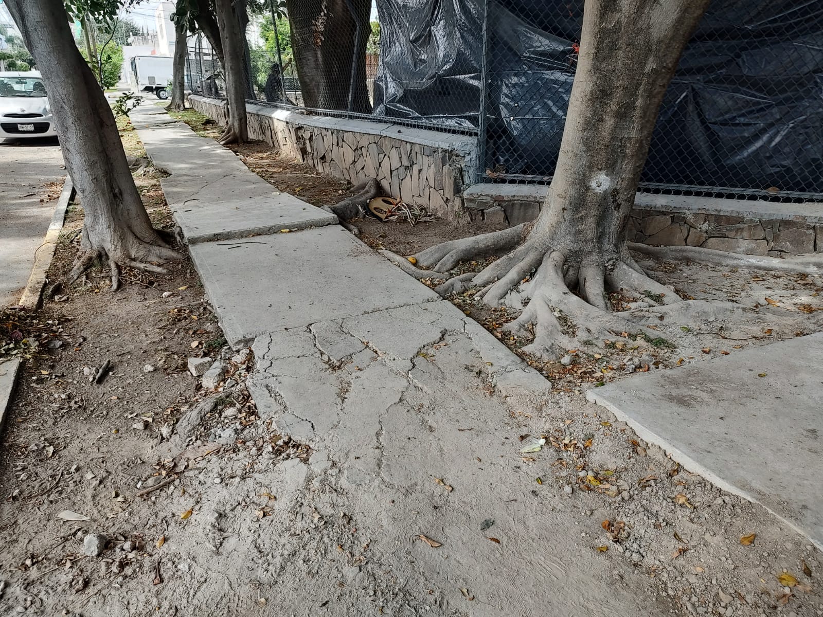 Imagen del proyecto