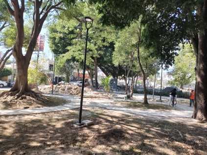 Imagen del proyecto
