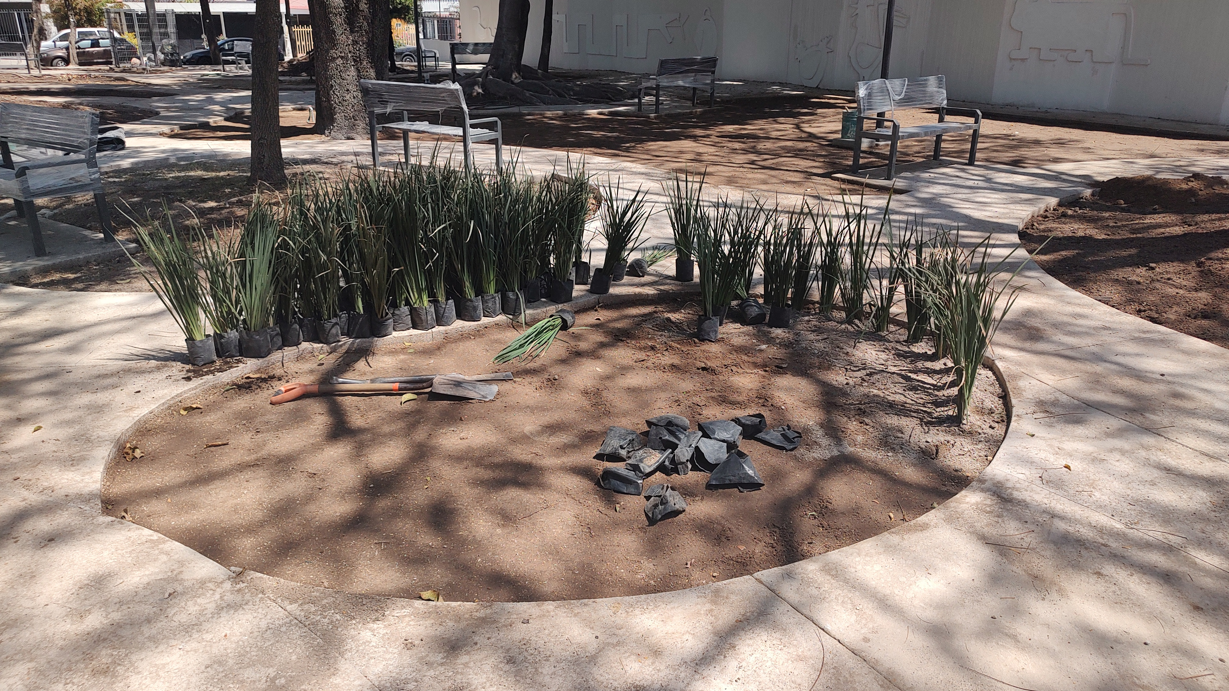 Imagen del proyecto