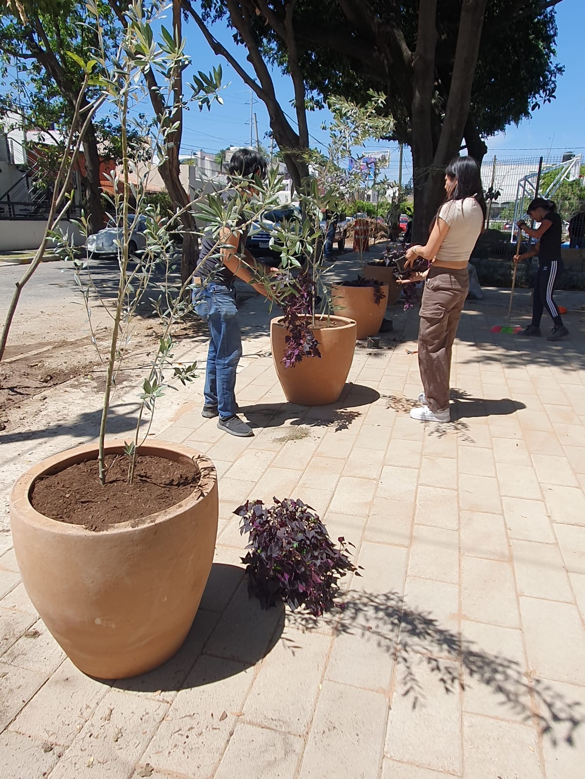Imagen del proyecto