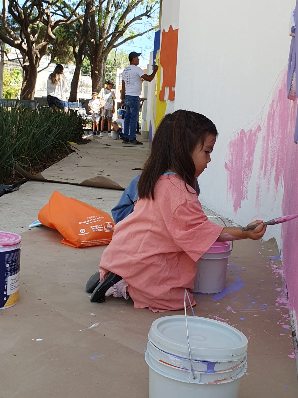 Imagen del proyecto