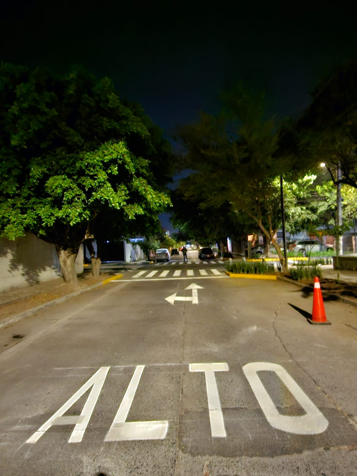 Imagen del proyecto