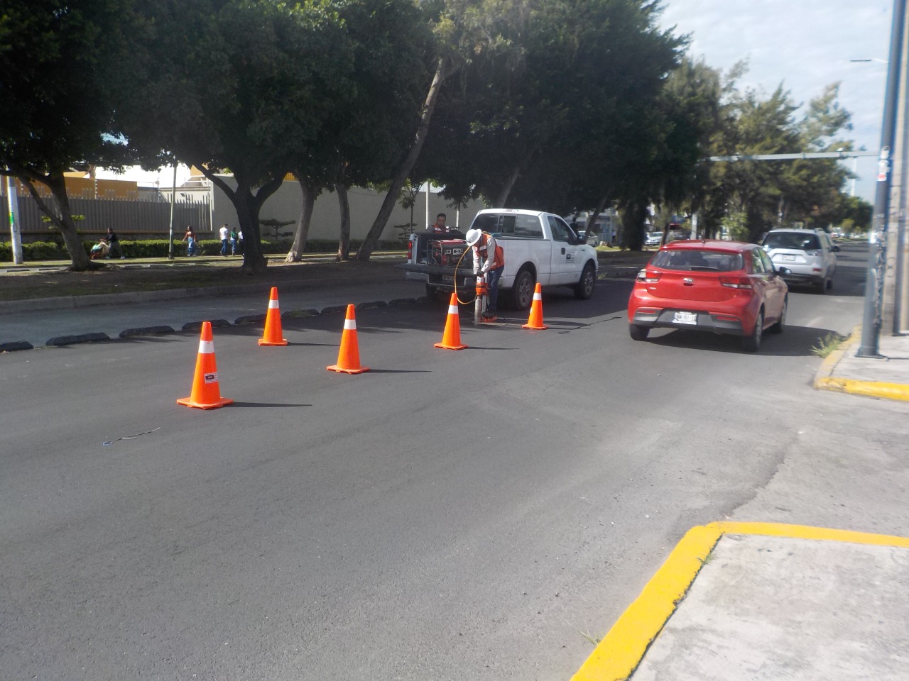 Imagen del proyecto