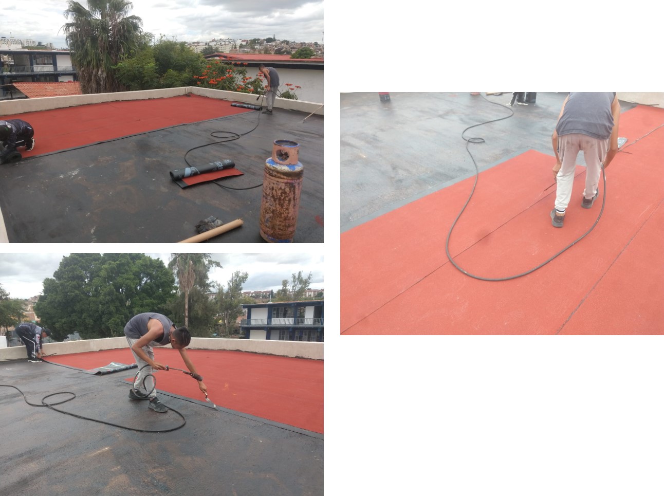 Imagen del proyecto