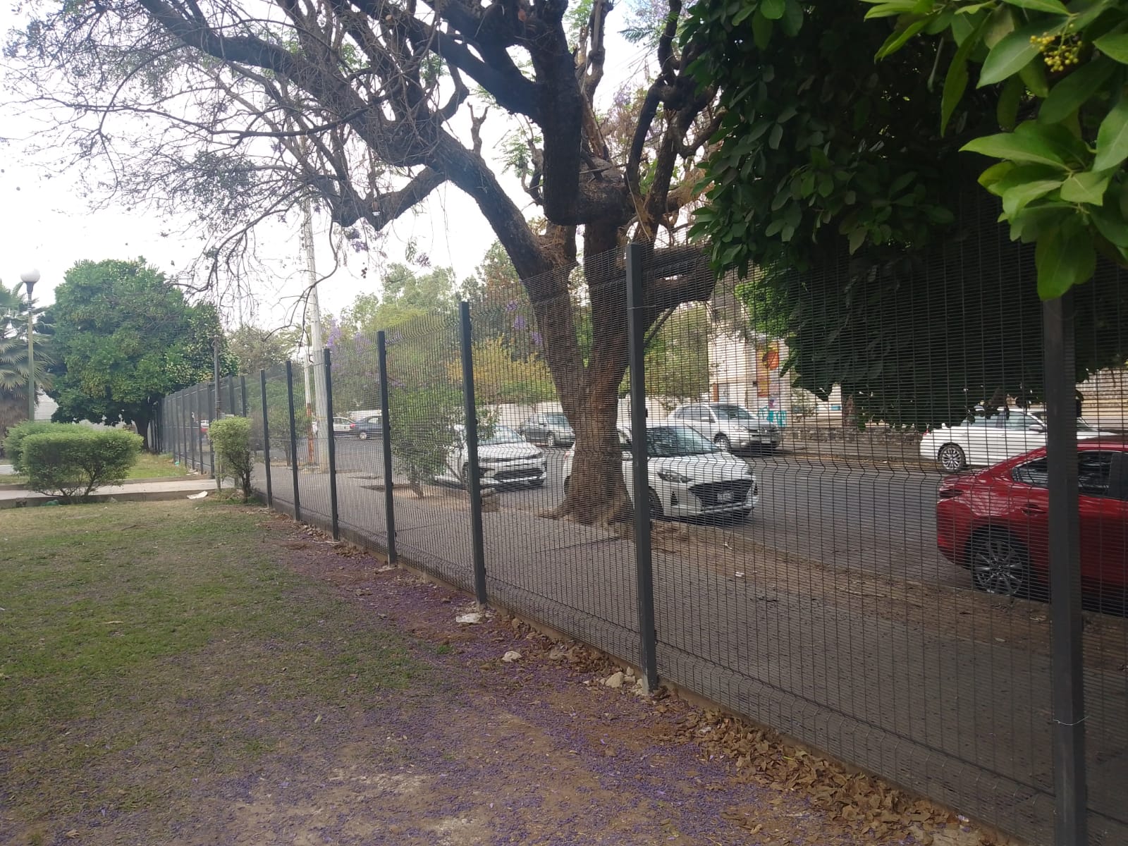 Imagen del proyecto