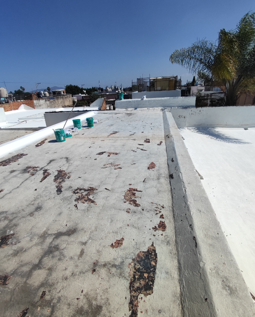 Imagen del proyecto