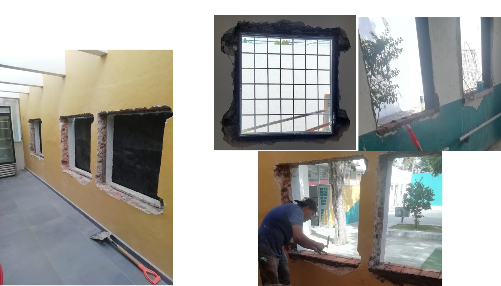 Imagen del Proyecto