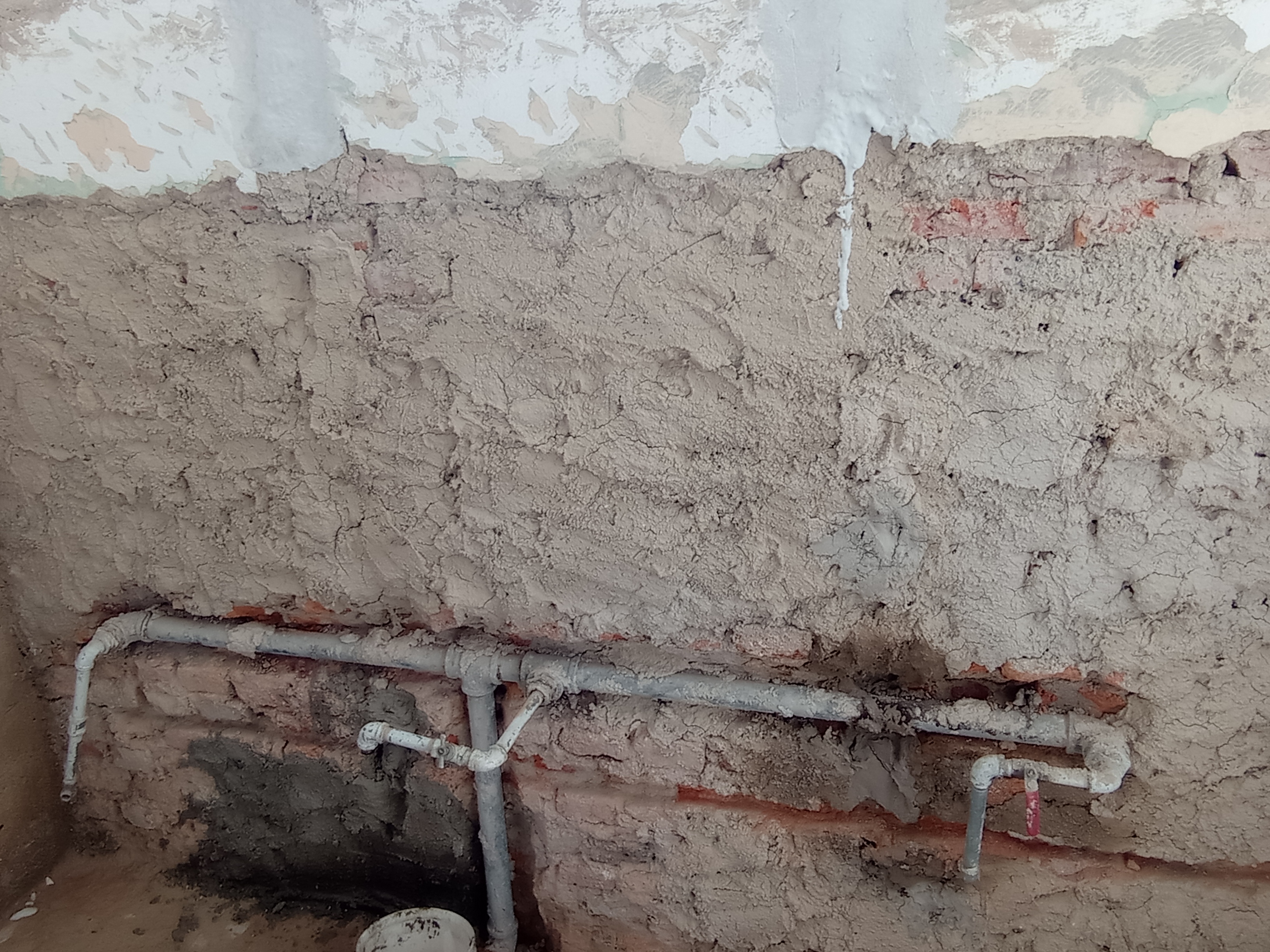 Imagen del proyecto