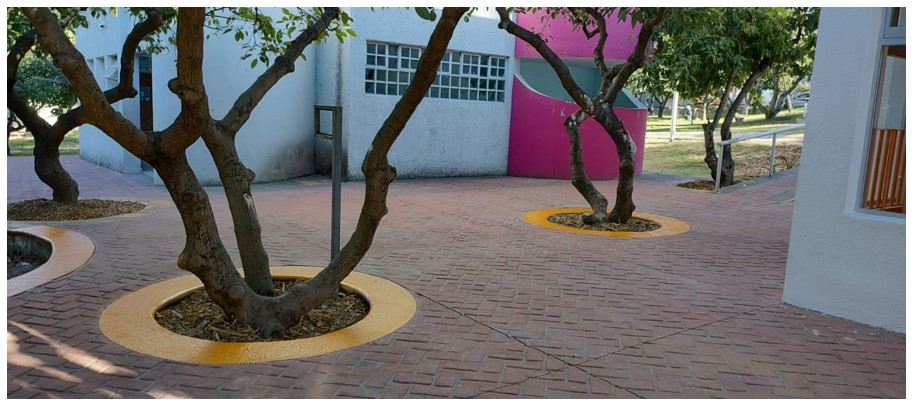 Imagen del proyecto