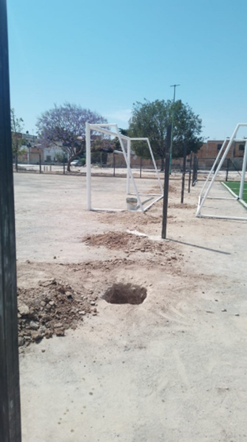 Imagen del proyecto