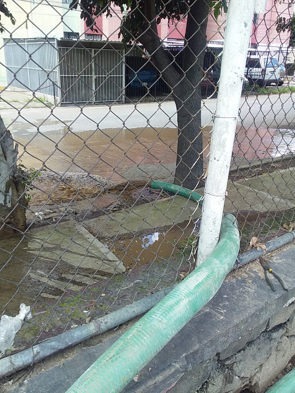Imagen del proyecto