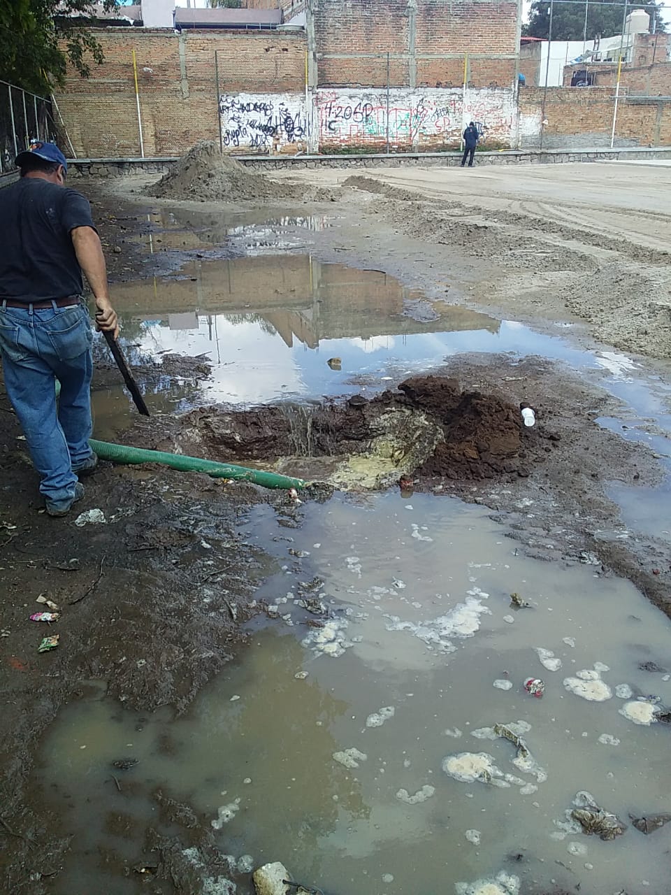 Imagen del proyecto