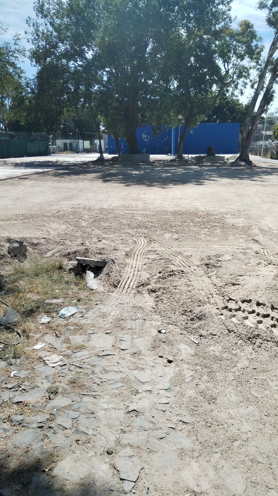 Imagen del proyecto