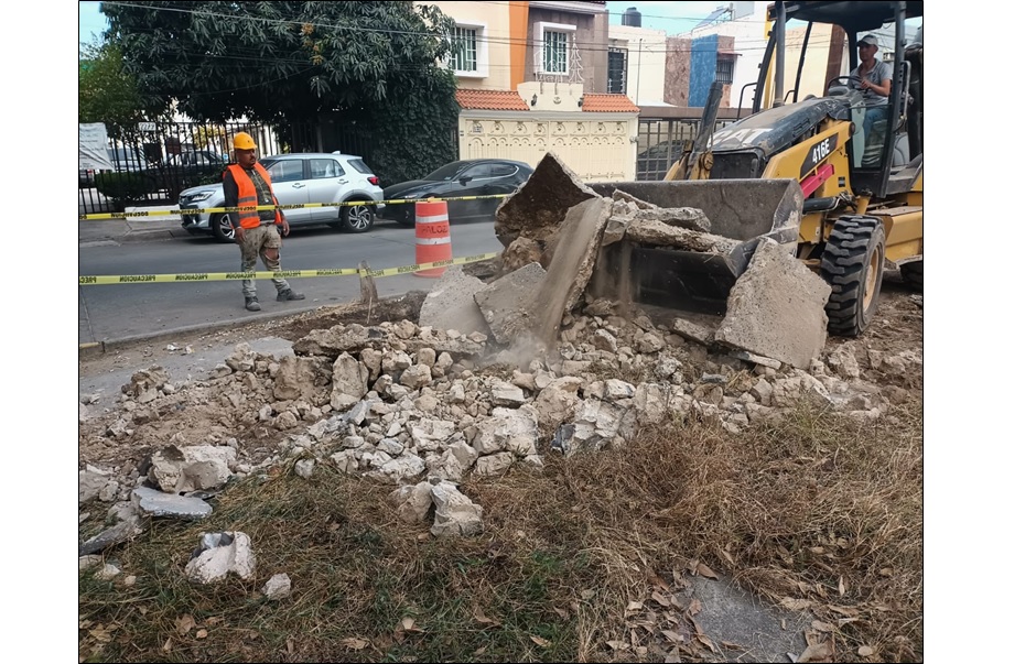 Imagen del proyecto