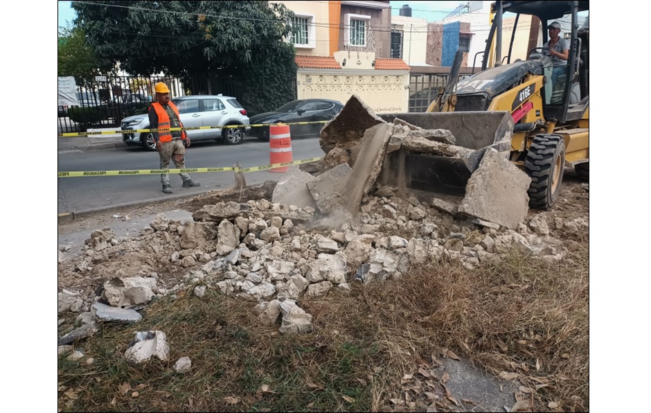 Imagen del proyecto