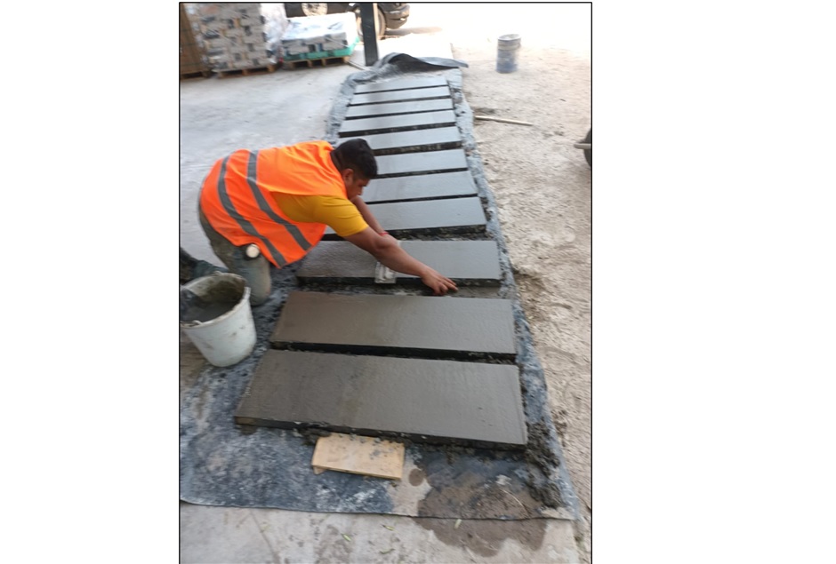 Imagen del proyecto