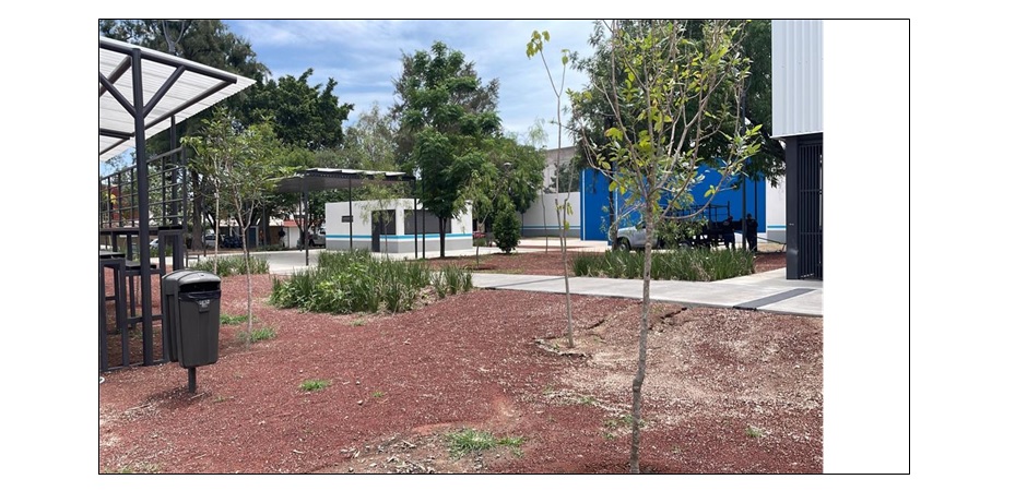 Imagen del proyecto