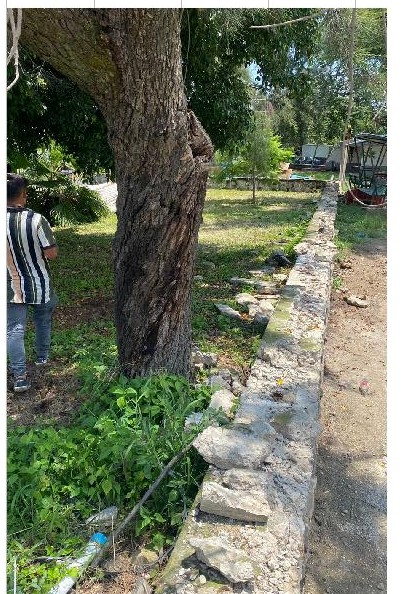 Imagen del proyecto