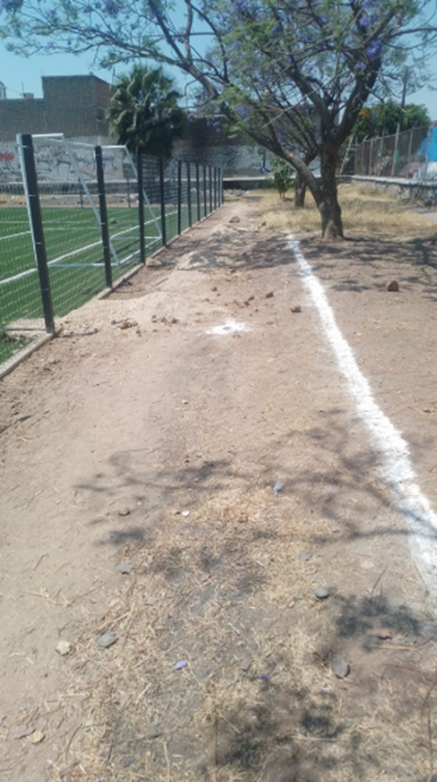Imagen del proyecto