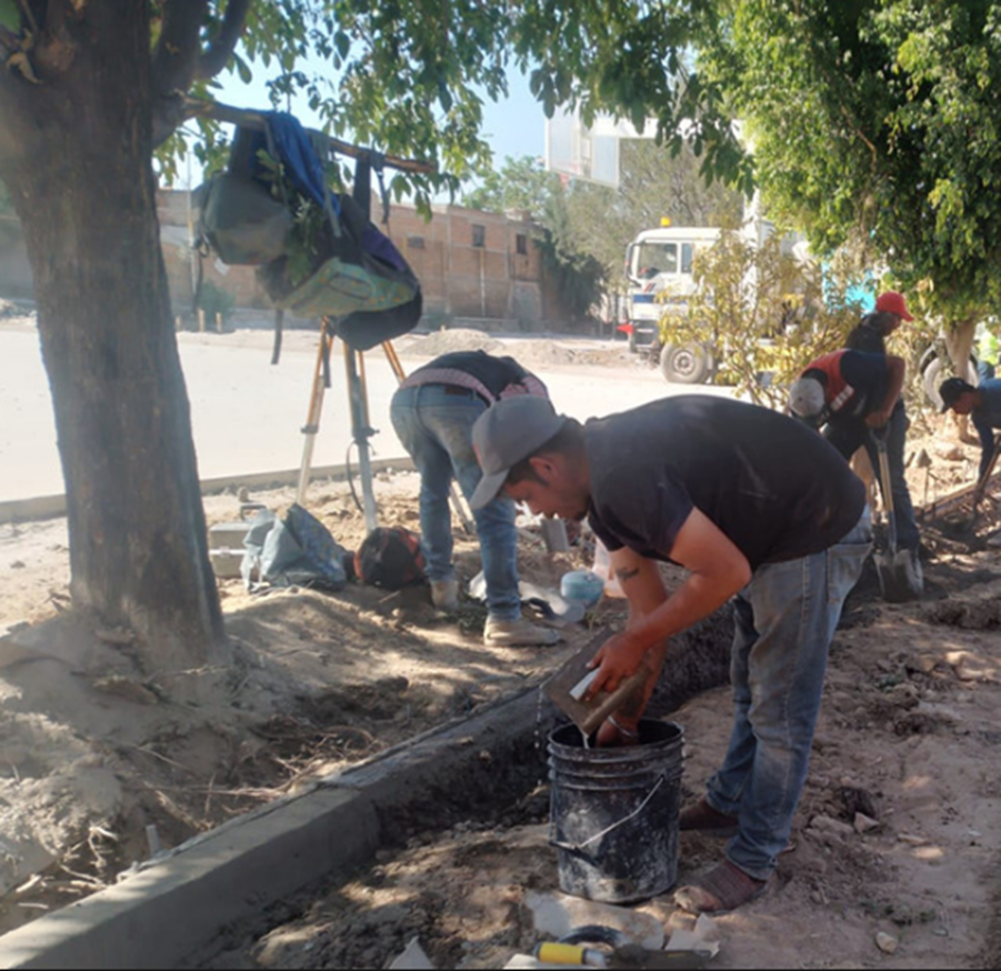 Imagen del Proyecto